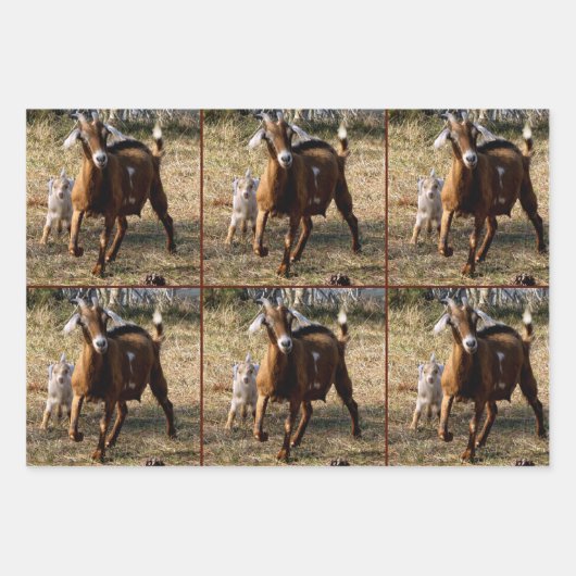 Momma en Kind Geit Wrapping Papieren Bladen Inpakpapier Vel (Voorkant 2)