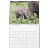 Momma en Me Animal Calendar Kalender (Mar 2027)