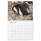 Momma en Me Animal Calendar Kalender (Feb 2027)