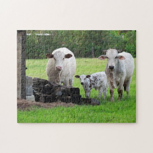 Momma-Koe en Calf - Boerderij Life Puzzle Legpuzzel (Horizontaal)