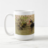 Momma Muscovy en Baby Ducks Mok (Links)