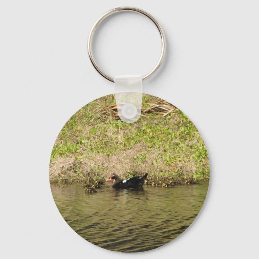 Momma Muscovy en Baby Ducks Sleutelhanger (Voorkant)