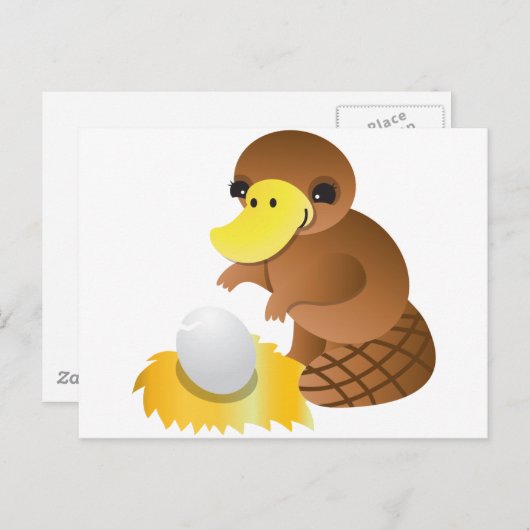 MOMMA platypus Briefkaart (Voorkant / Achterkant)