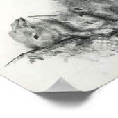 Momma Rabbit with Baby Bunnies Pencil Tekening Poster (Hoek)