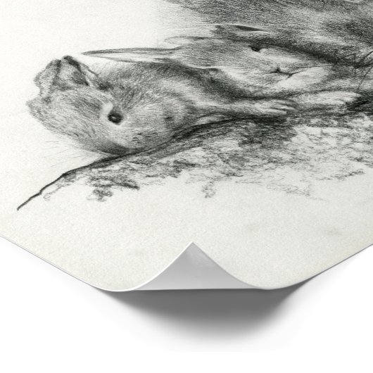 Momma Rabbit with Baby Bunnies Pencil Tekening Poster (Hoek)