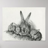 Momma Rabbit with Baby Bunnies Pencil Tekening Poster (Voorkant)