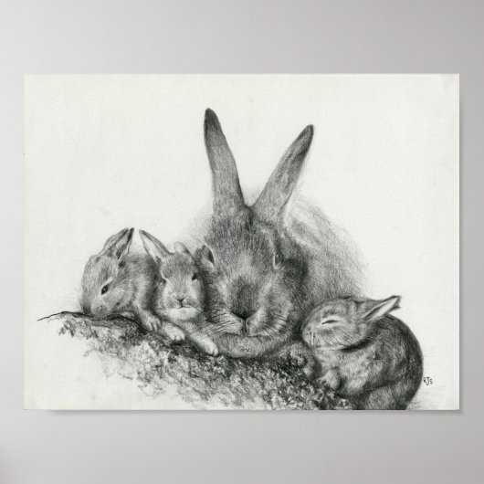 Momma Rabbit with Baby Bunnies Pencil Tekening Poster (Voorkant)