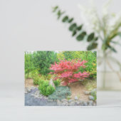 Momotaro Japanse tuin 3 Briefkaart (Staand voorkant)