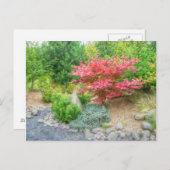 Momotaro Japanse tuin 3 Briefkaart (Voorkant / Achterkant)