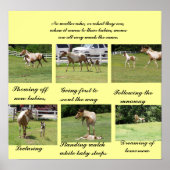 Moms en baby's poster (Voorkant)