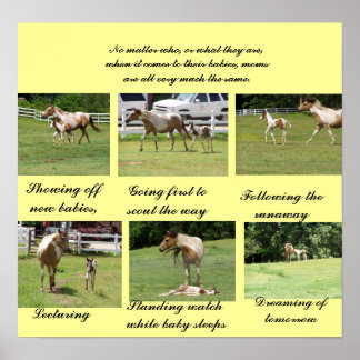 Moms en baby's poster