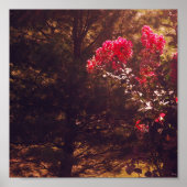 Mom's Garden Print (Voorkant)