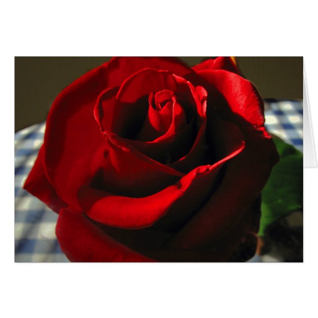 Moms Red Rose (Voorkant Horizontaal)