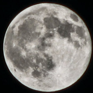 MOMZMOON ROND KUSSEN