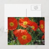 Mon Ame Briefkaart (Voorkant / Achterkant)