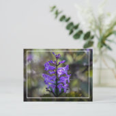 Mona Lavender Briefkaart (Staand voorkant)