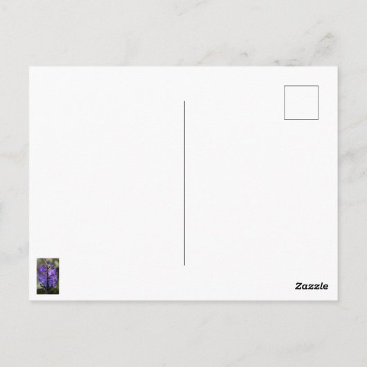 Mona Lavender Briefkaart (Achterkant)