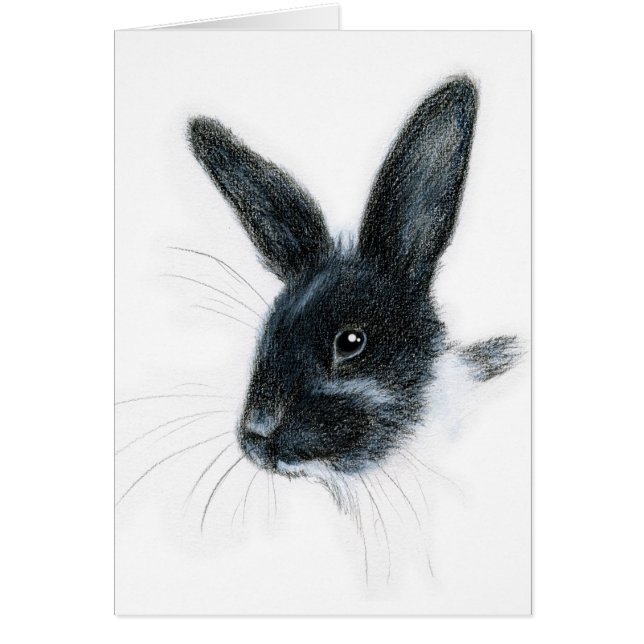 MONA LISA (Voorkant)