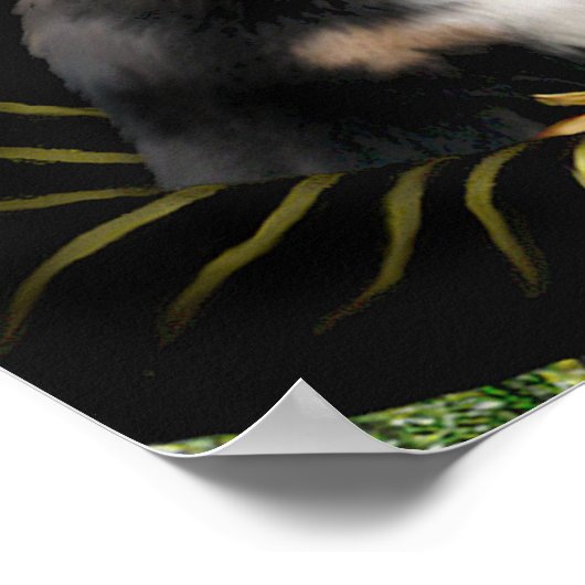 Mona Lisa - Bernese Mountain Dog Puppy Poster (Hoek)