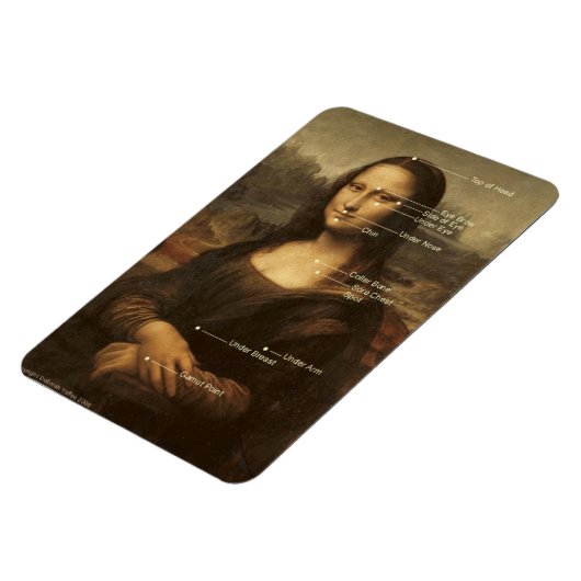 Mona Lisa EFT Tapping Points 4 "x6" flexibele magn Magneet (Linkerzijde)