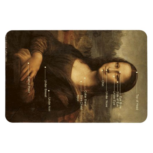 Mona Lisa EFT Tapping Points 4 "x6" flexibele magn Magneet (Horizontaal)