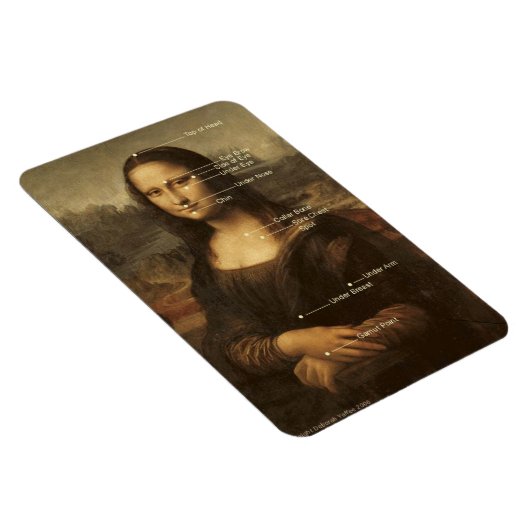Mona Lisa EFT Tapping Points 4 "x6" flexibele magn Magneet (Rechterzijde)