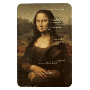 Mona Lisa EFT Tapping Points 4 "x6" flexibele magn Magneet