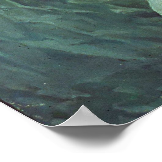 mona lisa gestolen poster uit 14.95 (Hoek)