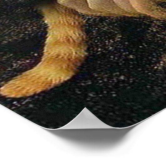 Mona Lisa houdt haar kat Leonardo da Vinci vast Poster (Hoek)