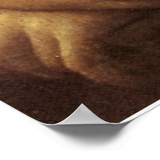 Mona Lisa's hand van Leonardo da Vinci c. 1505-151 Poster (Hoek)