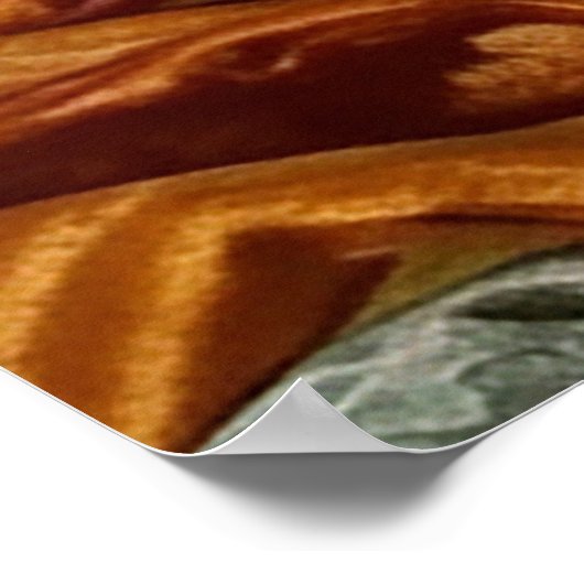 Mona Lisa's sister Poster (Hoek)