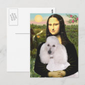 Mona-Pood-Wit-Standaard Poodle Briefkaart (Voorkant / Achterkant)