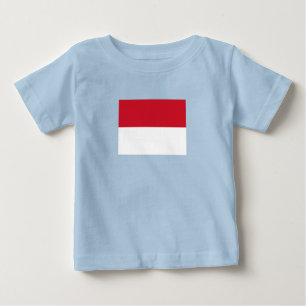 Monaco Flag