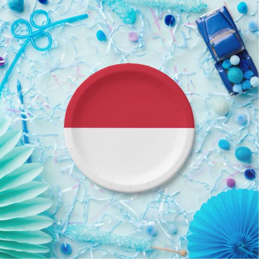 Monaco Flag Papieren Bordje (Feest)