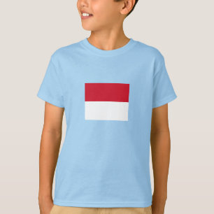 Monaco Flag T-shirt