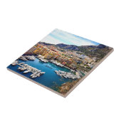 Monaco Port Tegeltje (Zijkant)