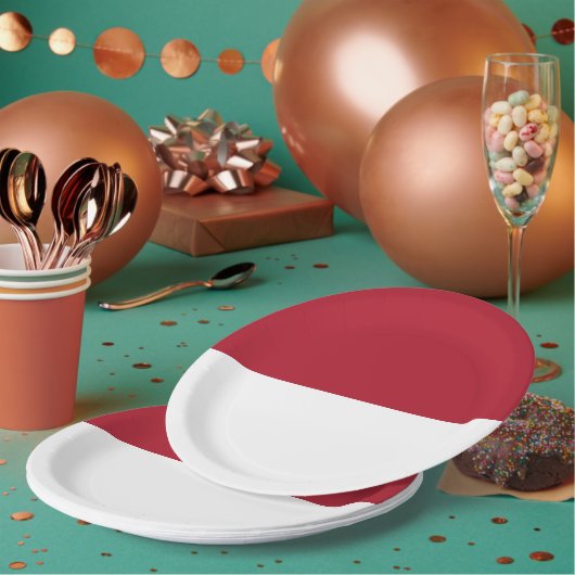 Monaco vlag papieren bordje (Multi)