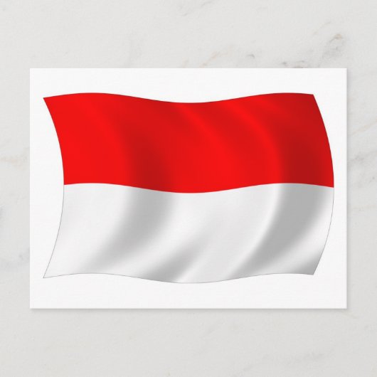 Monacovlag ansichtkaart briefkaart (Voorkant)