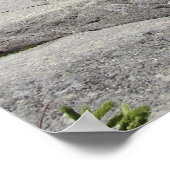 Monadnock Mountain Poster (Hoek)