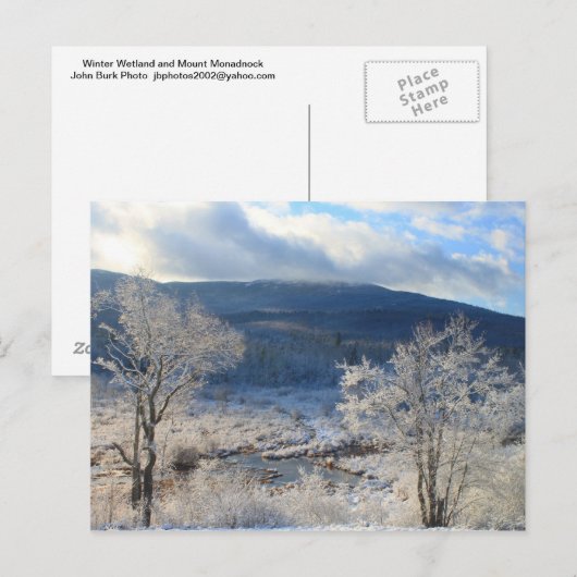 Monadnock Winter Wetland Briefkaart (Voorkant / Achterkant)