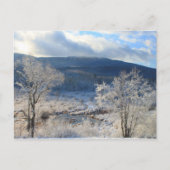 Monadnock Winter Wetland Briefkaart (Voorkant)