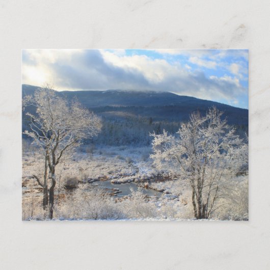 Monadnock Winter Wetland Briefkaart (Voorkant)