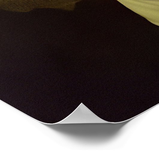 Monaliza 519 jaar later poster (Hoek)