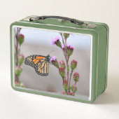 Monarch (Achterkant)