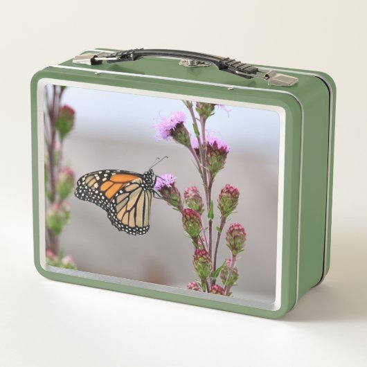 Monarch (Achterkant)