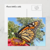 Monarch 38 ~ briefkaart (Voorkant / Achterkant)