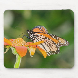 Monarch 3 Mousepad Muismat