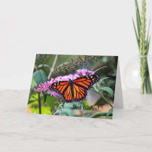 Monarch 5100 de Kaart van de Gelukwensen van het