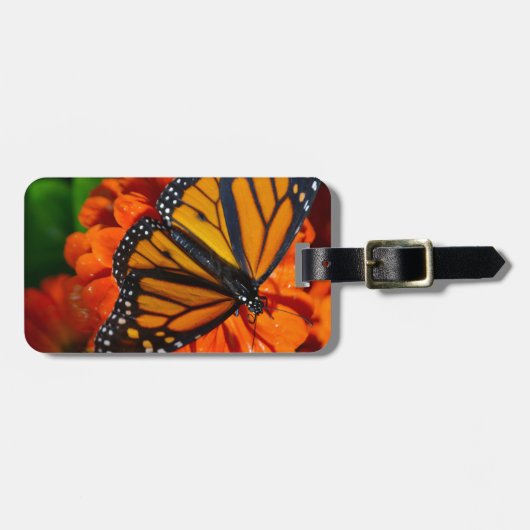 Monarch Bagagelabel (Voorkant horizontaal)