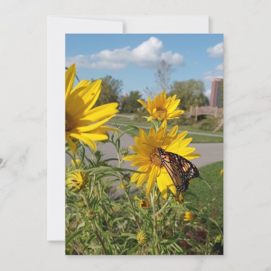 Monarch bij Wilkeson Pointe Park Kaart (Voorkant)
